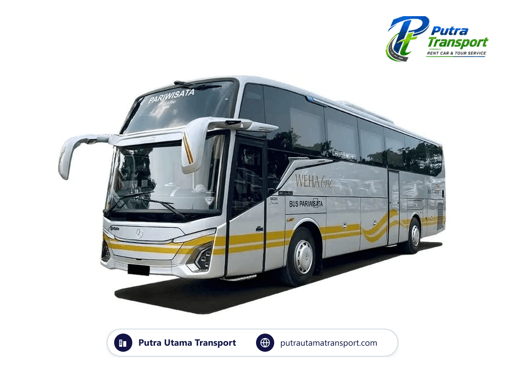 Big Bus (40-50 Seat)