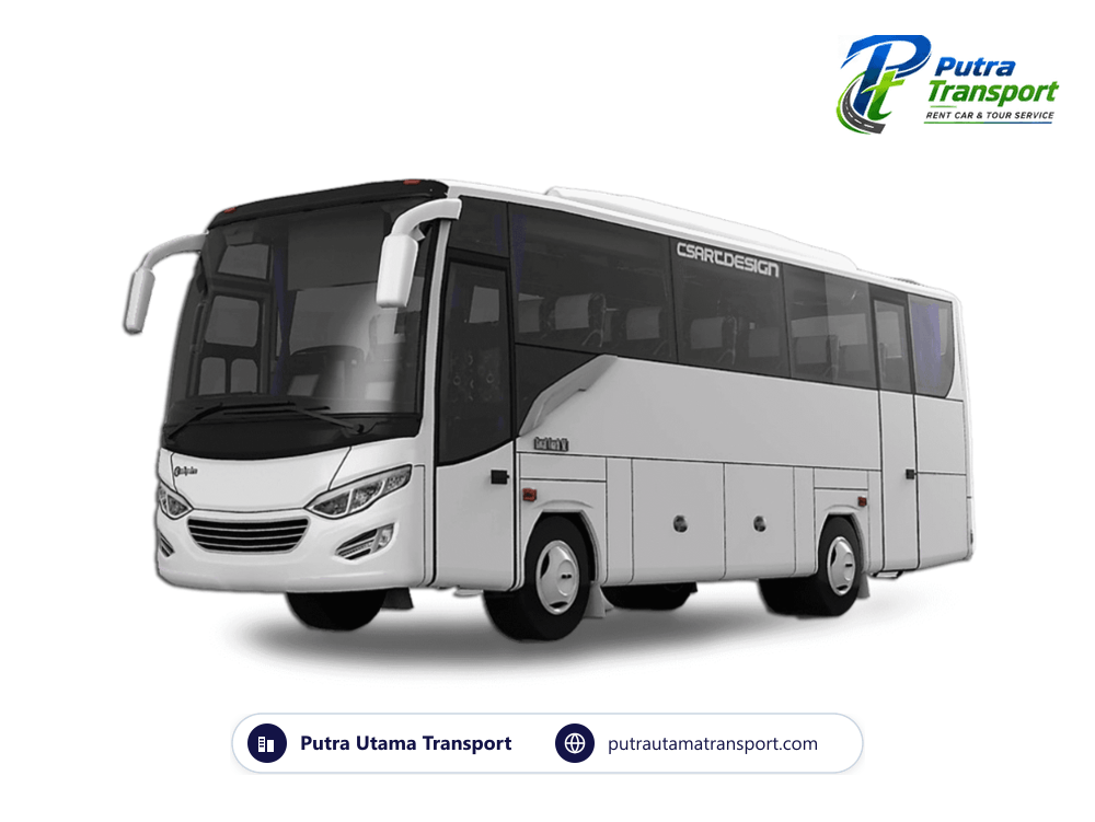 Medium Bus (30-33 Seat)